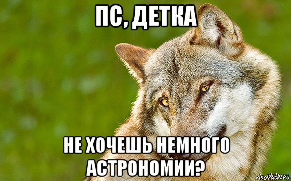 пс, детка не хочешь немного астрономии?, Мем   Volf