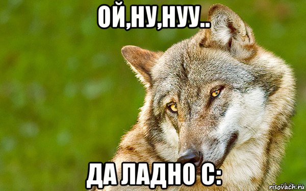 ой,ну,нуу.. да ладно с:, Мем   Volf