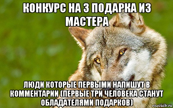 конкурс на 3 подарка из мастера люди которые первыми напишут в комментарии (первые три человека станут обладателями подарков), Мем   Volf