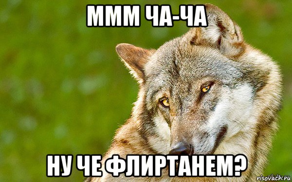 ммм ча-ча ну че флиртанем?, Мем   Volf