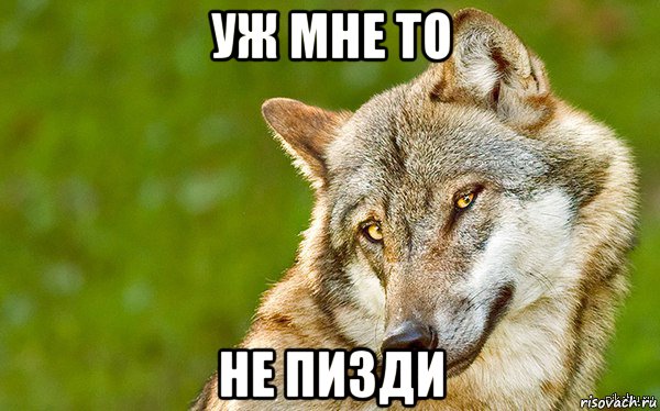 уж мне то не пизди, Мем   Volf