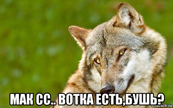  мак сс.. вотка есть,бушь?, Мем   Volf