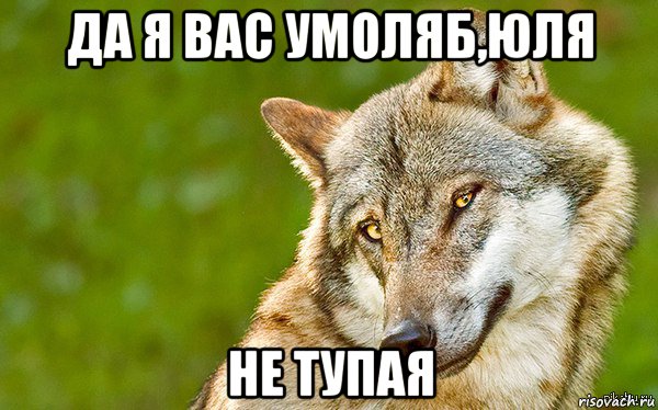 да я вас умоляб,юля не тупая, Мем   Volf