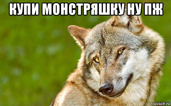 купи монстряшку ну пж , Мем   Volf