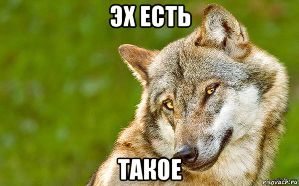 эх есть такое, Мем   Volf