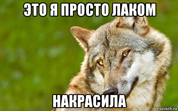 это я просто лаком накрасила, Мем   Volf