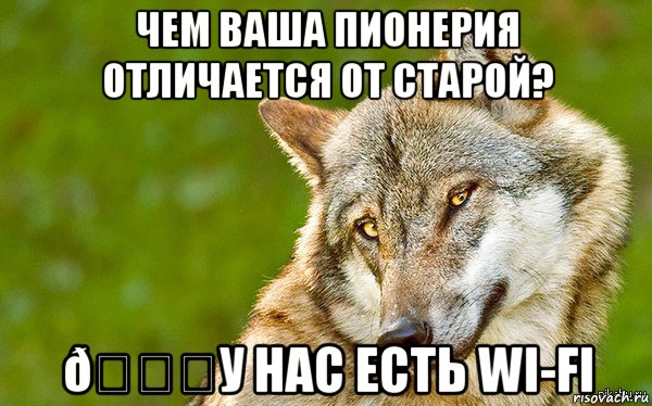 Мем   Volf