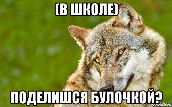 (в школе) поделишся булочкой?, Мем   Volf