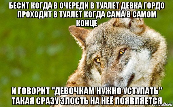 бесит когда в очереди в туалет девка гордо проходит в туалет когда сама в самом конце и говорит "девочкам нужно уступать" такая сразу злость на неё появляется, Мем   Volf