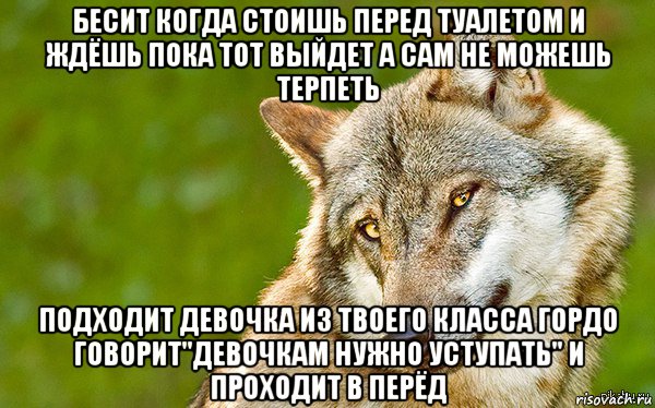 бесит когда стоишь перед туалетом и ждёшь пока тот выйдет а сам не можешь терпеть подходит девочка из твоего класса гордо говорит"девочкам нужно уступать" и проходит в перёд, Мем   Volf