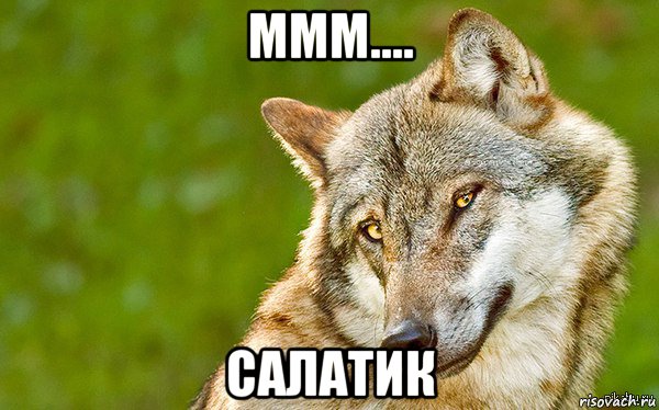 ммм.... салатик, Мем   Volf