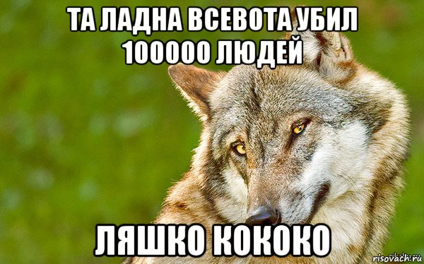 та ладна всевота убил 100000 людей ляшко кококо, Мем   Volf