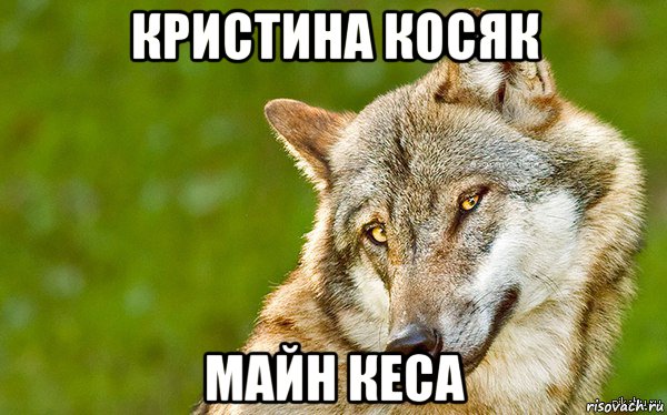 кристина косяк майн кеса, Мем   Volf