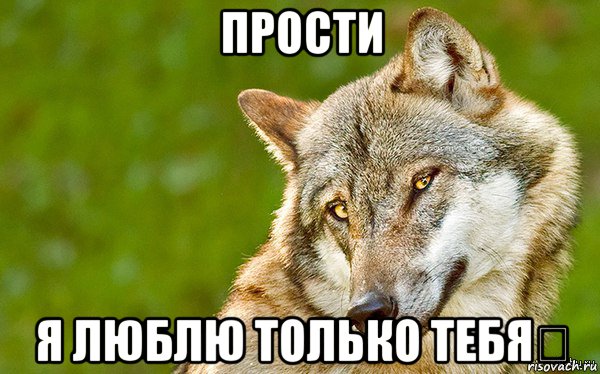 прости я люблю только тебя❤, Мем   Volf