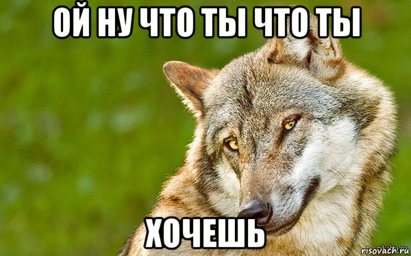 ой ну что ты что ты хочешь, Мем   Volf