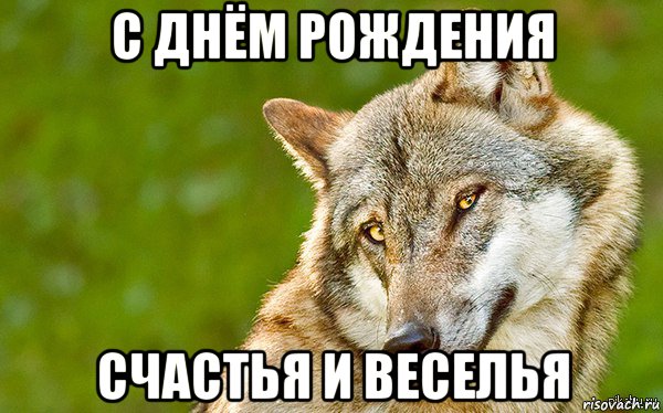 с днём рождения счастья и веселья, Мем   Volf