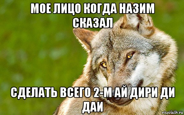 мое лицо когда назим сказал сделать всего 2-м ай дири ди даи, Мем   Volf