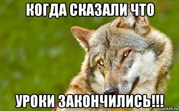 когда сказали что уроки закончились!!!, Мем   Volf