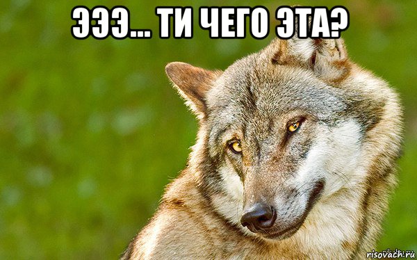 эээ... ти чего эта? , Мем   Volf