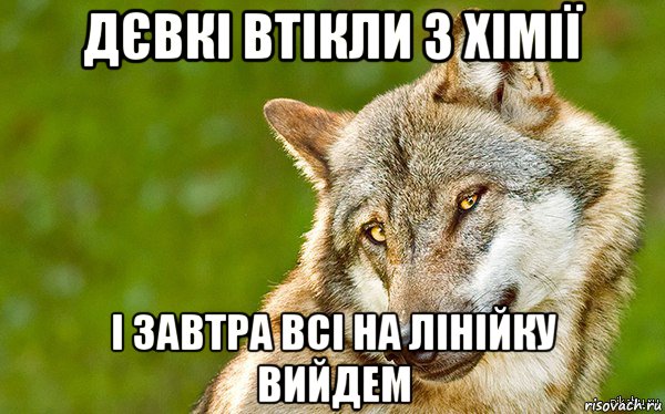 дєвкі втікли з хімії і завтра всі на лінійку вийдем, Мем   Volf