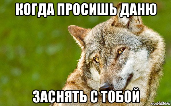 когда просишь даню заснять с тобой, Мем   Volf