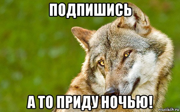 подпишись а то приду ночью!, Мем   Volf