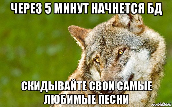 через 5 минут начнется бд скидывайте свои самые любимые песни, Мем   Volf