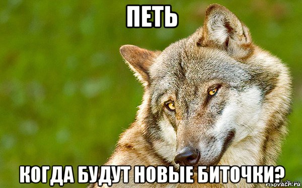 петь когда будут новые биточки?, Мем   Volf