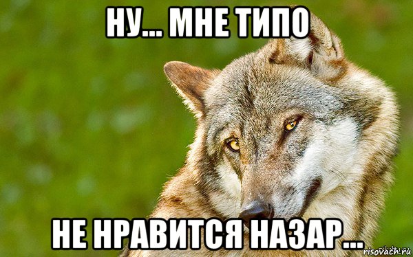 ну... мне типо не нравится назар..., Мем   Volf