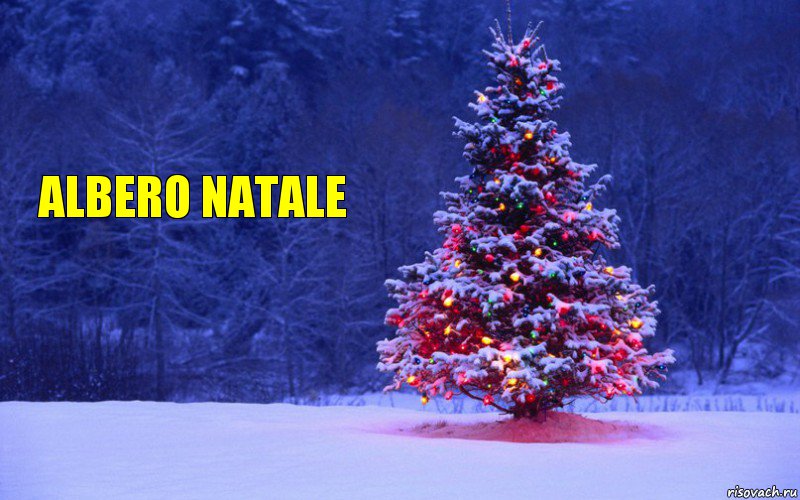 Albero natale