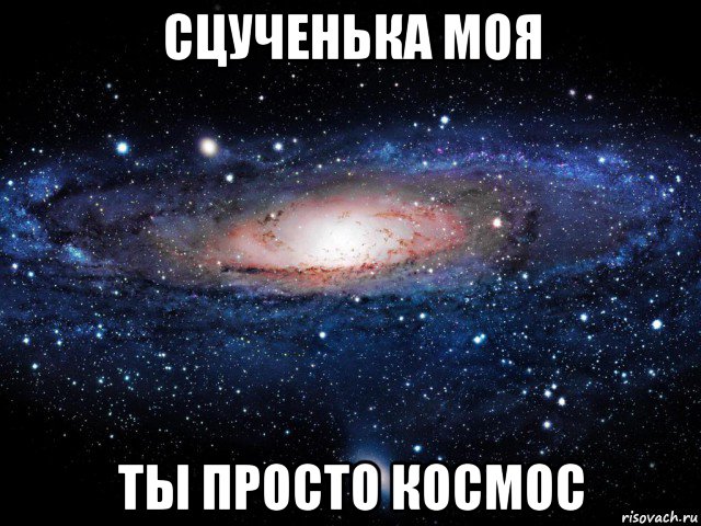 сцученька моя ты просто космос, Мем Вселенная