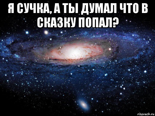 я сучка, а ты думал что в сказку попал? , Мем Вселенная