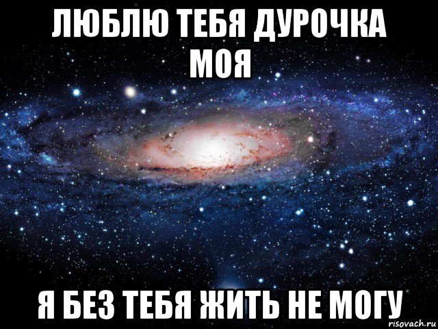 люблю тебя дурочка моя я без тебя жить не могу, Мем Вселенная