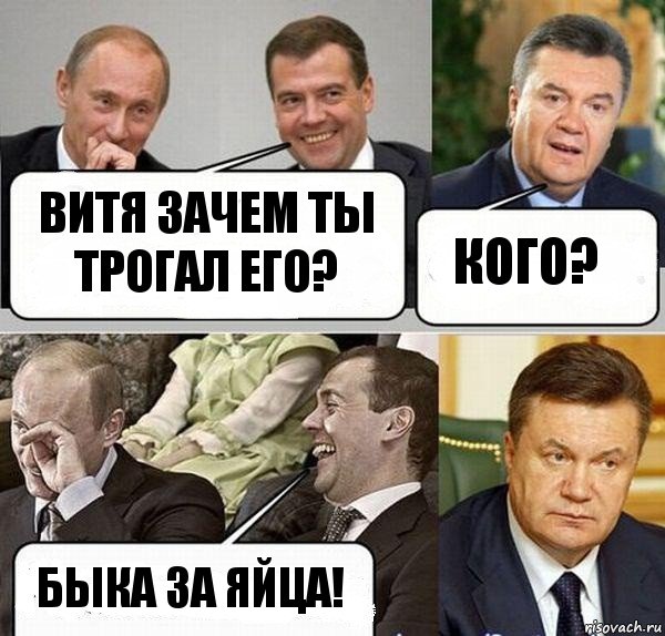 витя зачем ты трогал его? кого? быка за яйца!