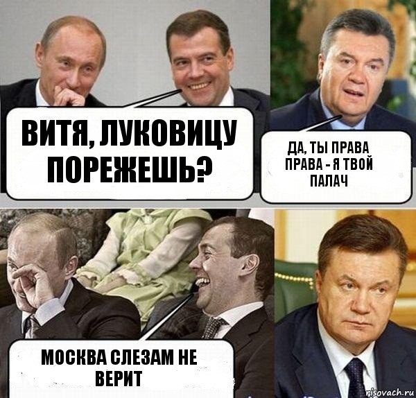 вИтя, луковицу порежешь? ДА, ты права права - я твой палач МОСква слезам не верит, Комикс  Разговор Януковича с Путиным и Медведевым