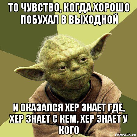 то чувство, когда хорошо побухал в выходной и оказался хер знает где, хер знает с кем, хер знает у кого, Мем Йода