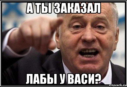 а ты заказал лабы у васи?, Мем жириновский ты