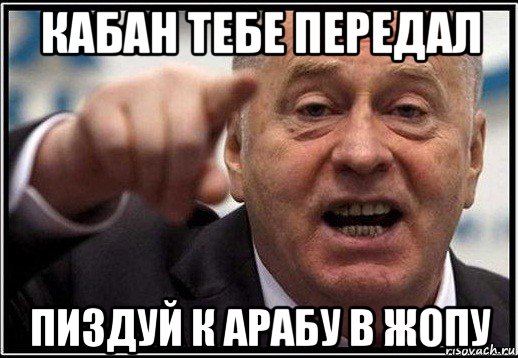 кабан тебе передал пиздуй к арабу в жопу, Мем жириновский ты