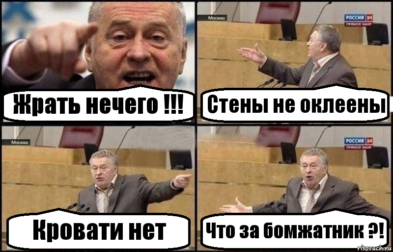 Жрать нечего !!! Стены не оклеены Кровати нет Что за бомжатник ?!, Комикс Жириновский