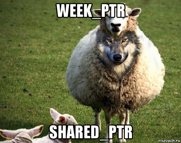 week_ptr shared_ptr, Мем Злая Овца