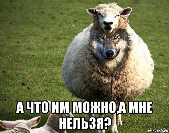  а что им можно,а мне нельзя?, Мем Злая Овца