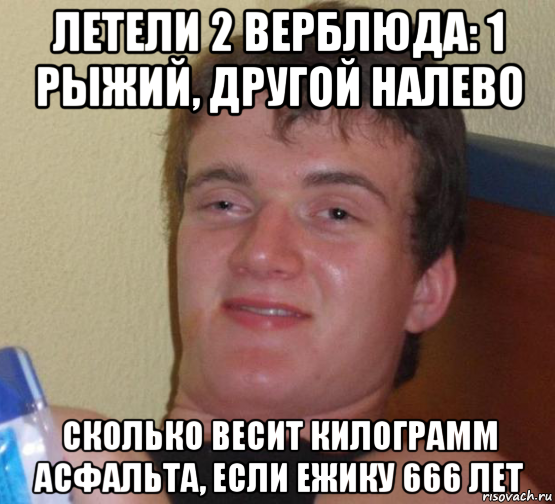 летели 2 верблюда: 1 рыжий, другой налево сколько весит килограмм асфальта, если ежику 666 лет, Мем 10 guy (Stoner Stanley really high guy укуренный парень)