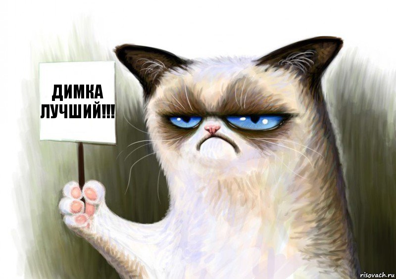 Димка лучший!!!, Комикс Сварливый кот с табличкой