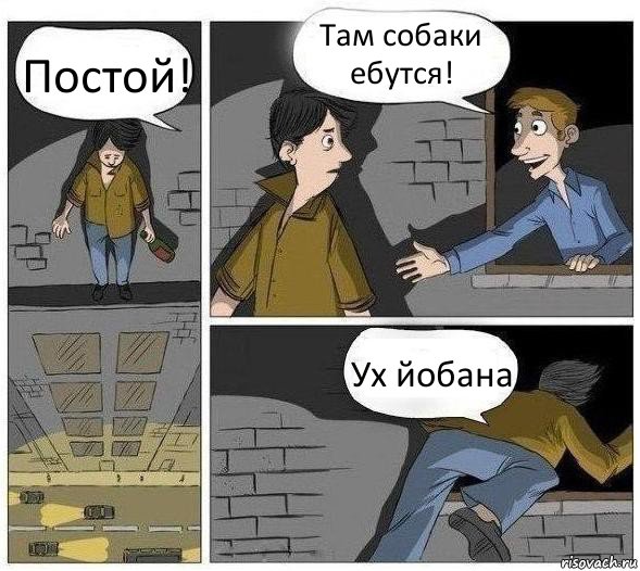 Постой! Там собаки ебутся! Ух йобана