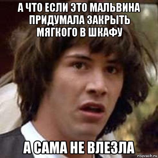 а что если это мальвина придумала закрыть мягкого в шкафу а сама не влезла, Мем А что если (Киану Ривз)