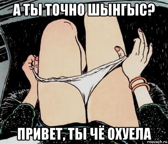 а ты точно шынгыс? привет, ты чё охуела, Мем А ты точно