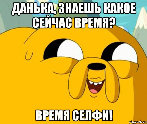 данька, знаешь какое сейчас время? время селфи!, Мем  Adventure time