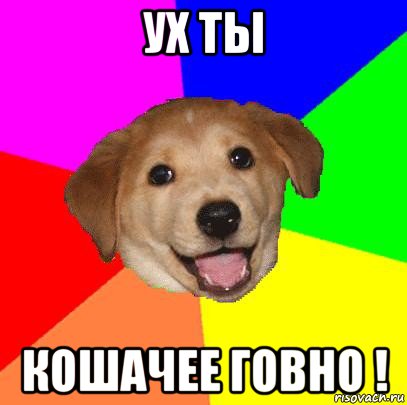 ух ты кошачее говно !, Мем Advice Dog