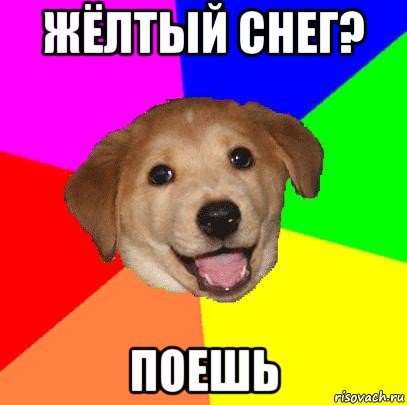 жёлтый снег? поешь, Мем Advice Dog