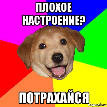 плохое настроение? потрахайся, Мем Advice Dog